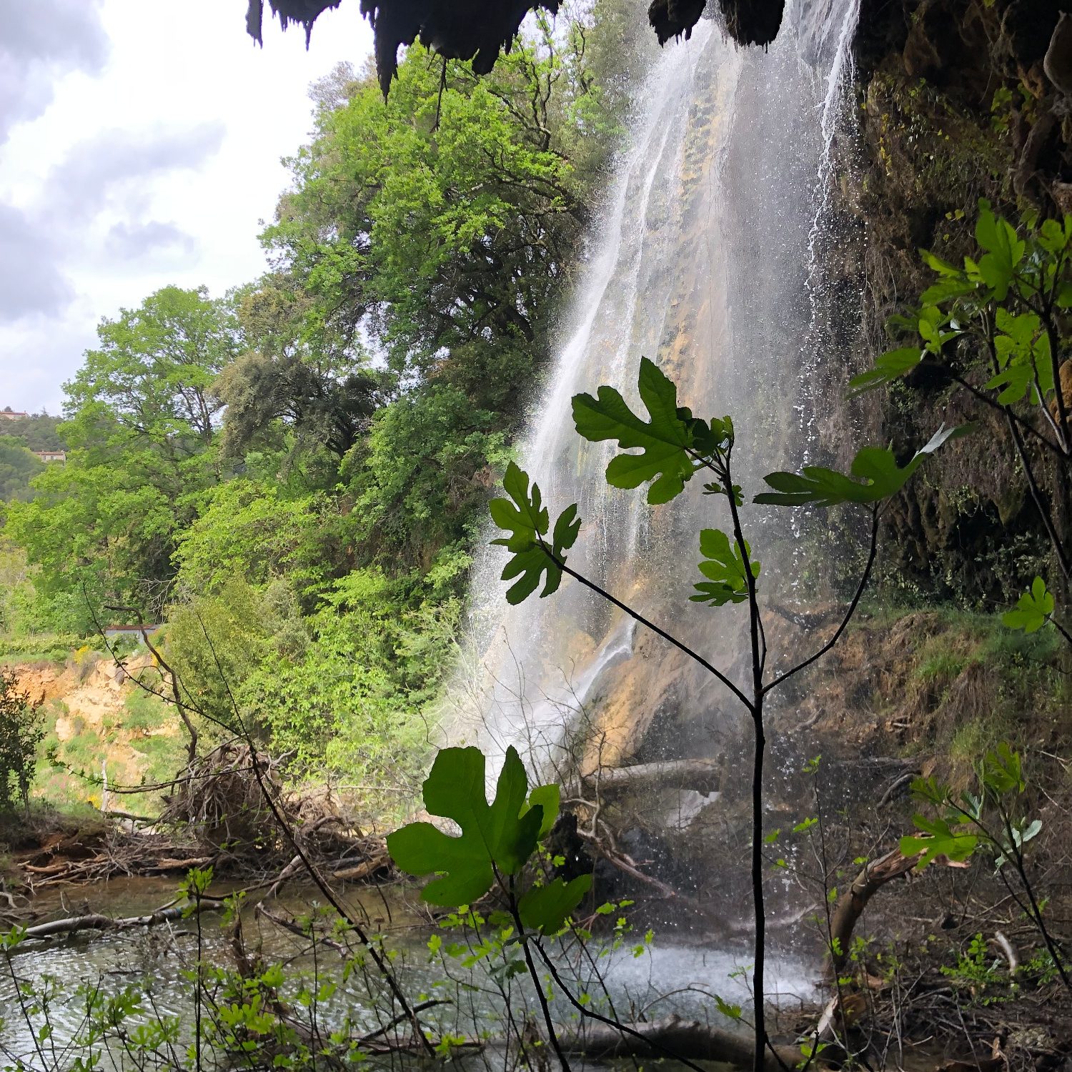 La Cascade Cascade ,à 200 m du Mas sur le chemin magnifique qui descend au village ( 15 mn à pieds )