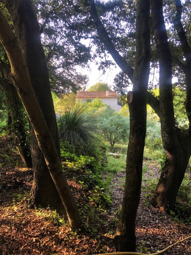 Le Mas vu de la Chêsnaie