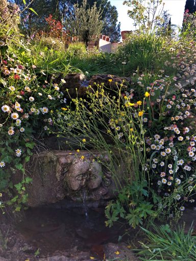 Fontaine au cherubin